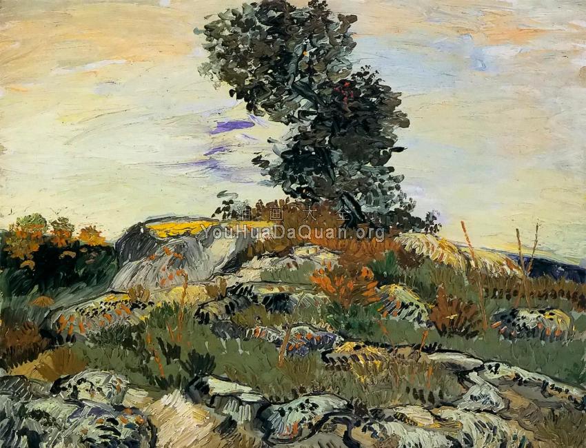 有岩石和树的风景 - 文森特·威廉·梵高